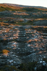 Mynd úr hrauninu í Kaldárseli